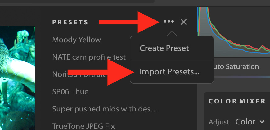 How to Install Presets Lightroom CC Step 2